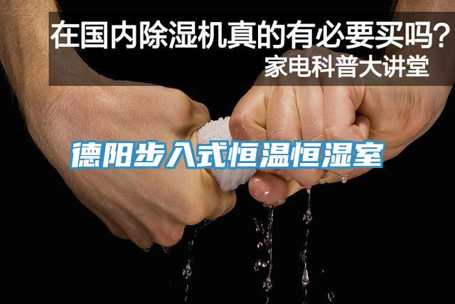 德陽(yáng)步入式恒溫恒濕室