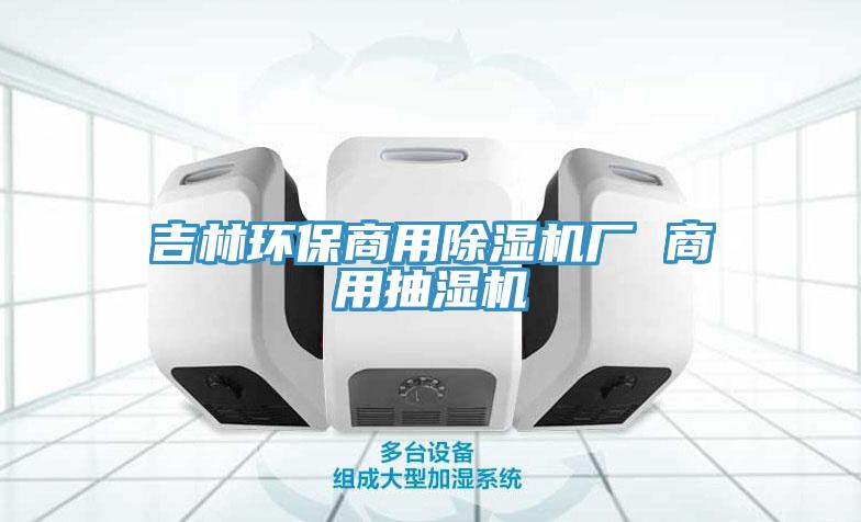 吉林環(huán)保商用除濕機廠(chǎng) 商用抽濕機