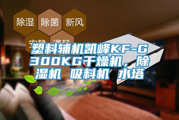 塑料輔機凱峰KF-G300KG干燥機，除濕機 吸料機 水塔