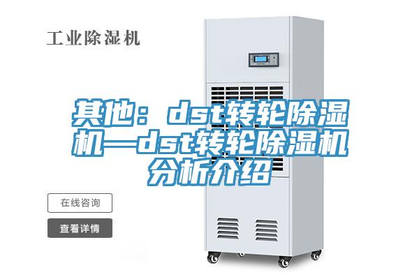 其他：dst轉輪除濕機—dst轉輪除濕機分析介紹