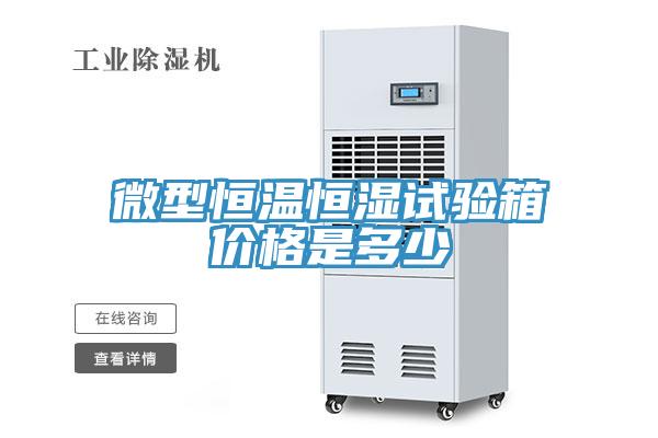 微型恒溫恒濕試驗箱價(jià)格是多少