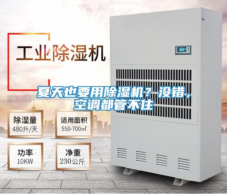 夏天也要用除濕機？沒(méi)錯，空調都管不住