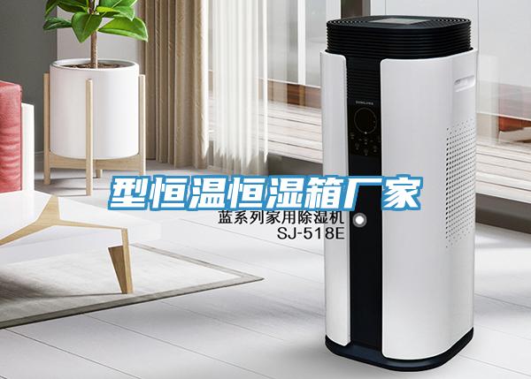 型恒溫恒濕箱廠(chǎng)家