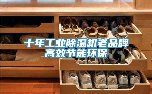 十年工業(yè)除濕機老品牌高效節能環(huán)保