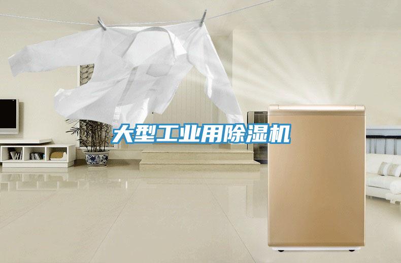 大型工業(yè)用除濕機