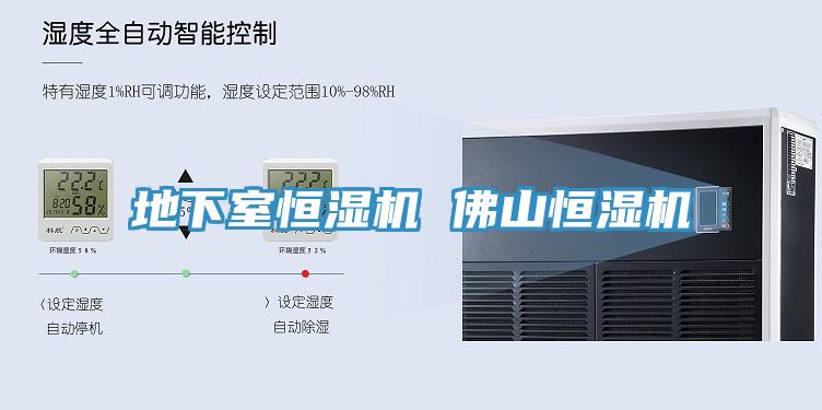 地下室恒濕機 佛山恒濕機