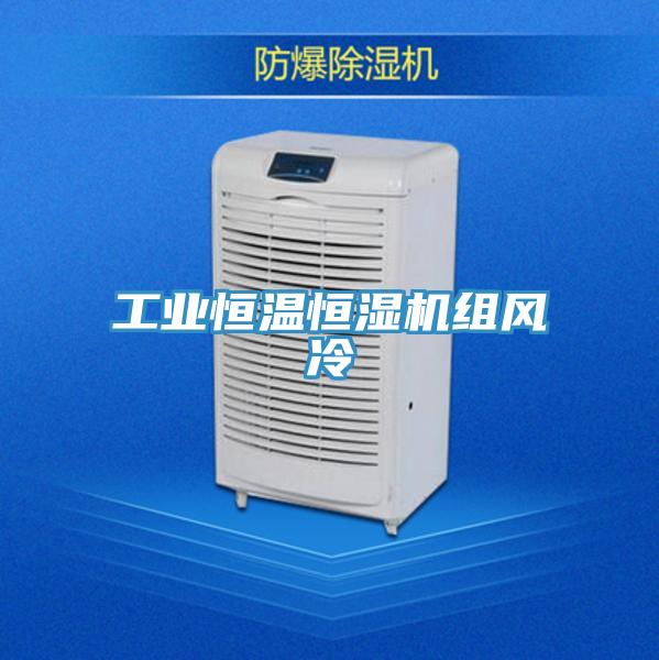 工業(yè)恒溫恒濕機組風(fēng)冷