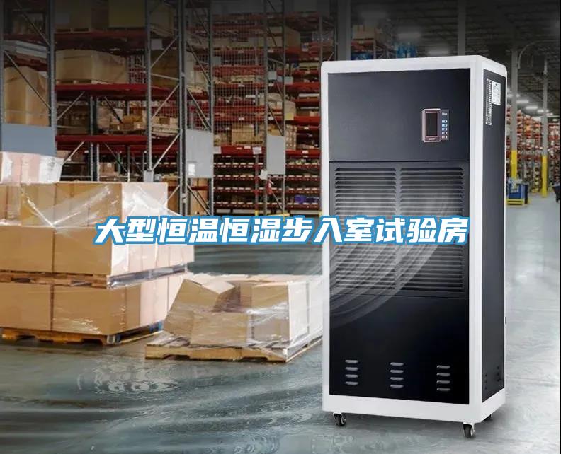 大型恒溫恒濕步入室試驗房