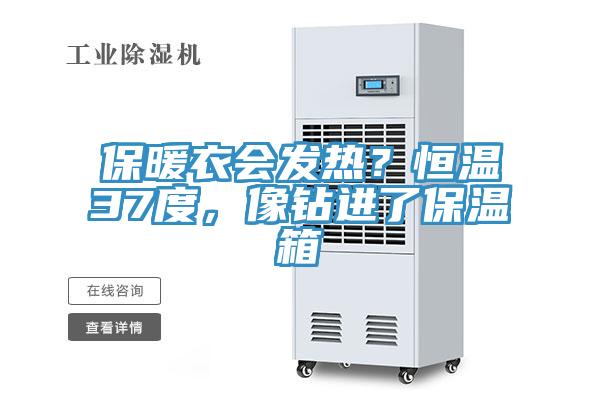 保暖衣會(huì )發(fā)熱？恒溫37度，像鉆進(jìn)了保溫箱