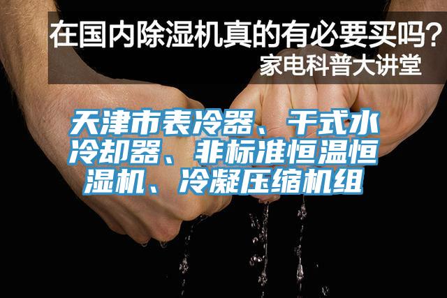 天津市表冷器、干式水冷卻器、非標準恒溫恒濕機、冷凝壓縮機組