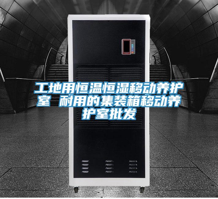 工地用恒溫恒濕移動(dòng)養護室 耐用的集裝箱移動(dòng)養護室批發(fā)