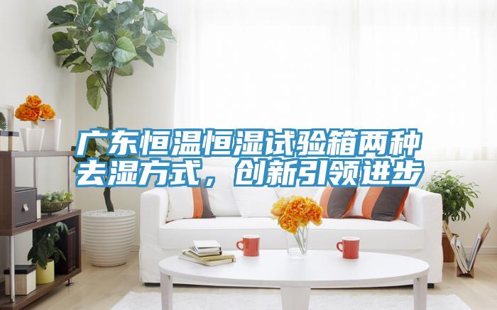廣東恒溫恒濕試驗箱兩種去濕方式，創(chuàng  )新引領(lǐng)進(jìn)步
