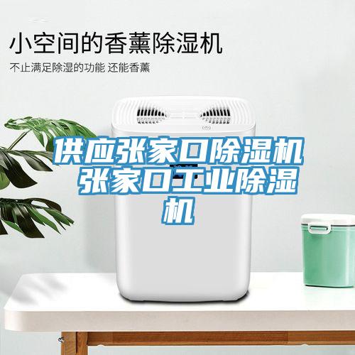 供應張家口除濕機 張家口工業(yè)除濕機