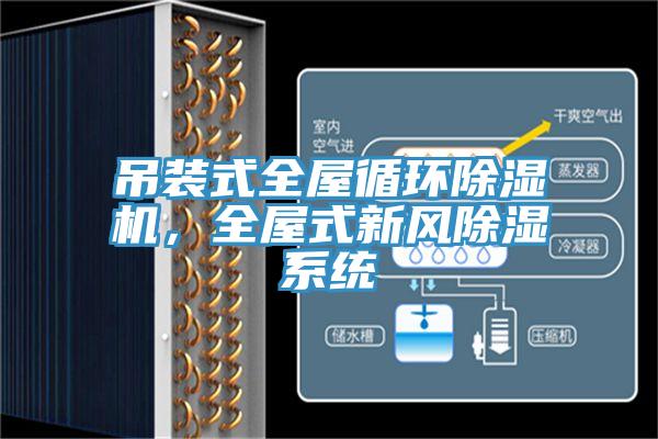 吊裝式全屋循環(huán)除濕機，全屋式新風(fēng)除濕系統