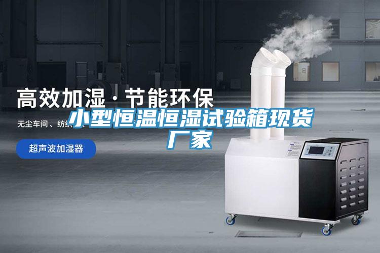 小型恒溫恒濕試驗箱現貨廠(chǎng)家