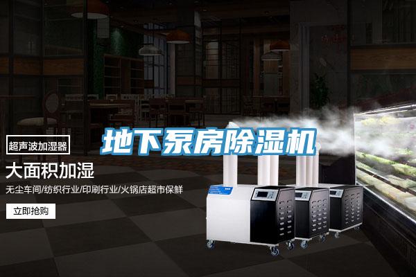 地下泵房除濕機