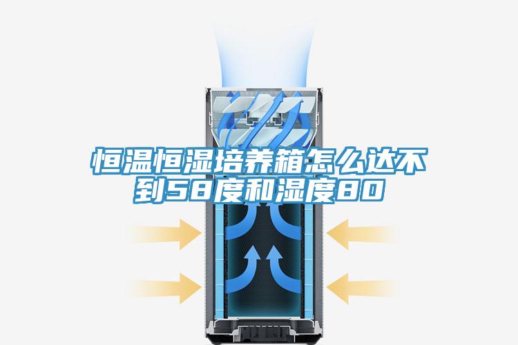 恒溫恒濕培養箱怎么達不到58度和濕度80