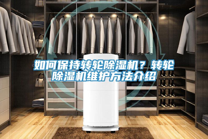 如何保持轉輪除濕機？轉輪除濕機維護方法介紹