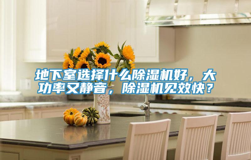 地下室選擇什么除濕機好，大功率又靜音，除濕機見(jiàn)效快？