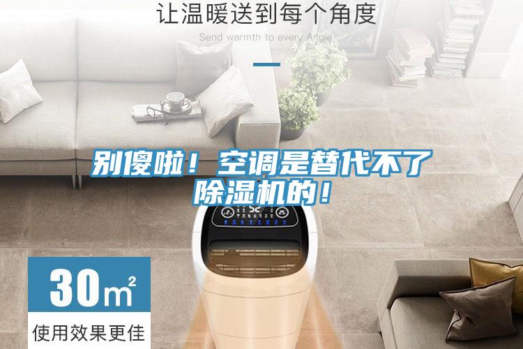 別傻啦！空調是替代不了除濕機的！