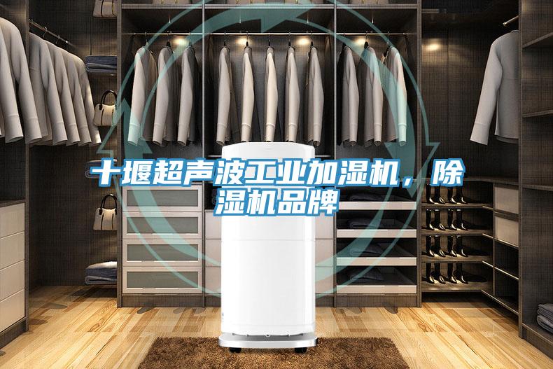 十堰超聲波工業(yè)加濕機，除濕機品牌