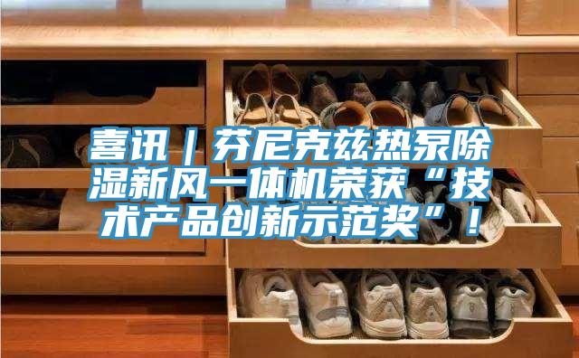 喜訊｜芬尼克茲熱泵除濕新風(fēng)一體機榮獲“技術(shù)產(chǎn)品創(chuàng  )新示范獎”！