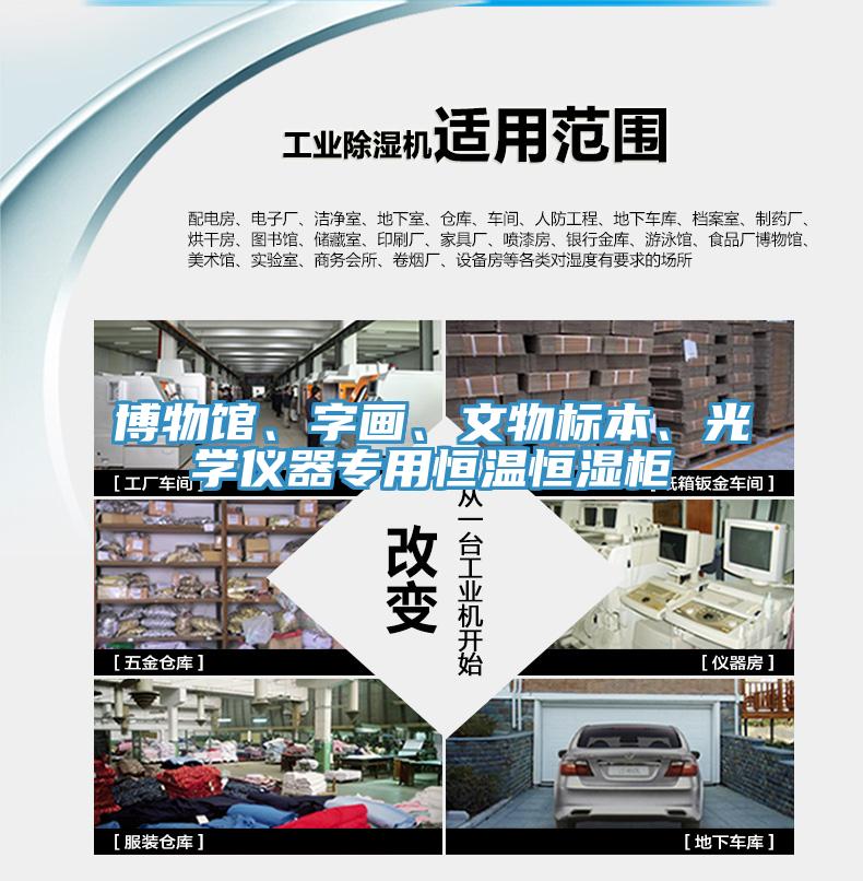 博物館、字畫(huà)、文物標本、光學(xué)儀器專(zhuān)用恒溫恒濕柜