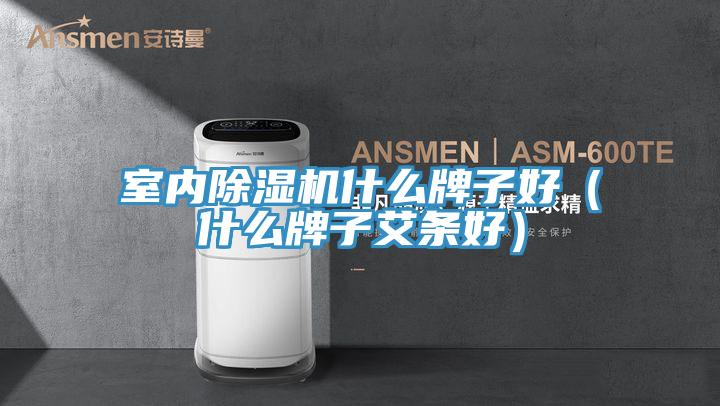 室內除濕機什么牌子好（什么牌子艾條好）