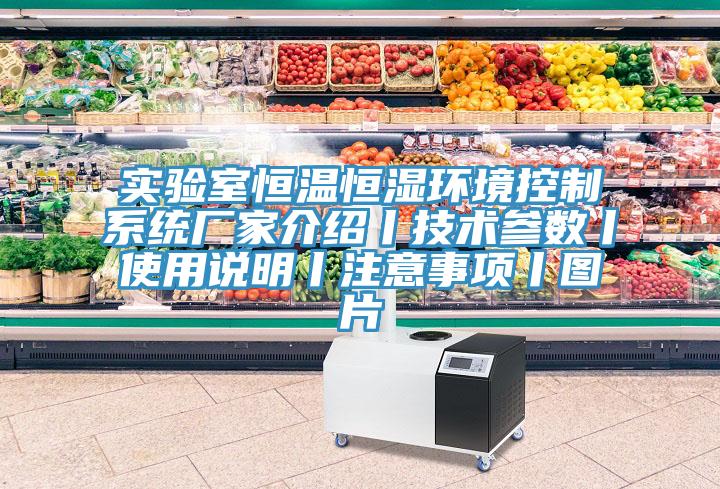 實(shí)驗室恒溫恒濕環(huán)境控制系統廠(chǎng)家介紹丨技術(shù)參數丨使用說(shuō)明丨注意事項丨圖片