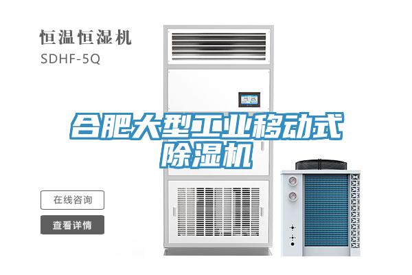 合肥大型工業(yè)移動(dòng)式除濕機