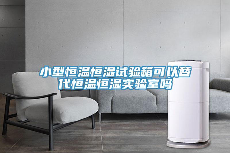 小型恒溫恒濕試驗箱可以替代恒溫恒濕實(shí)驗室嗎