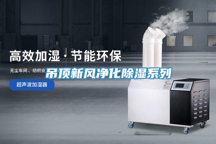 吊頂新風(fēng)凈化除濕系列