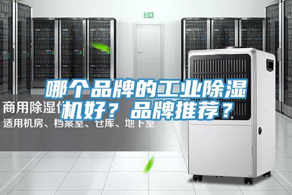 哪個(gè)品牌的工業(yè)除濕機好？品牌推薦？