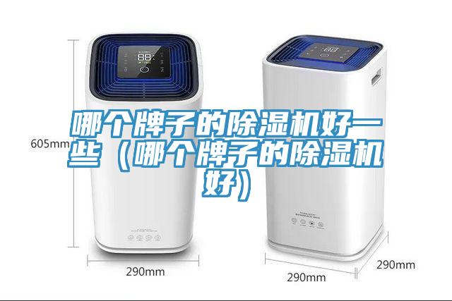 哪個(gè)牌子的除濕機好一些（哪個(gè)牌子的除濕機好）