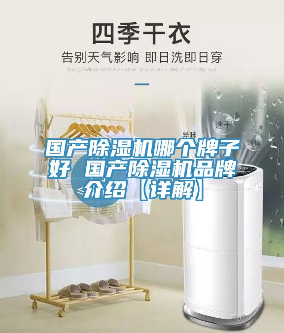 國產(chǎn)除濕機哪個(gè)牌子好 國產(chǎn)除濕機品牌介紹【詳解】