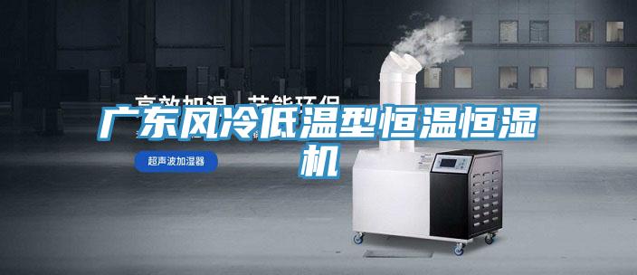 廣東風(fēng)冷低溫型恒溫恒濕機