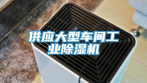 供應大型車(chē)間工業(yè)除濕機