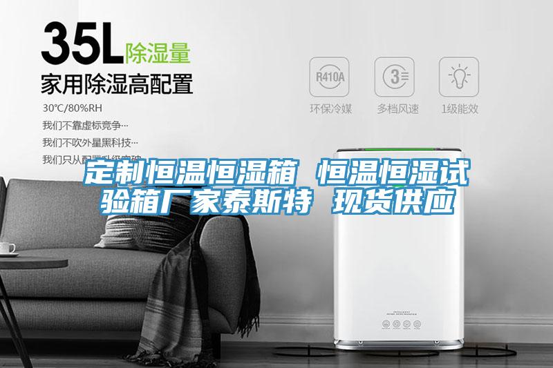 定制恒溫恒濕箱 恒溫恒濕試驗箱廠(chǎng)家泰斯特 現貨供應