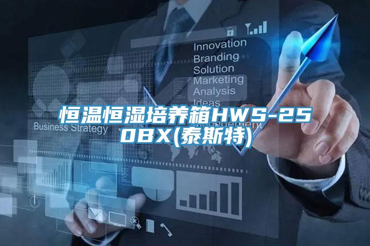 恒溫恒濕培養箱HWS-250BX(泰斯特)