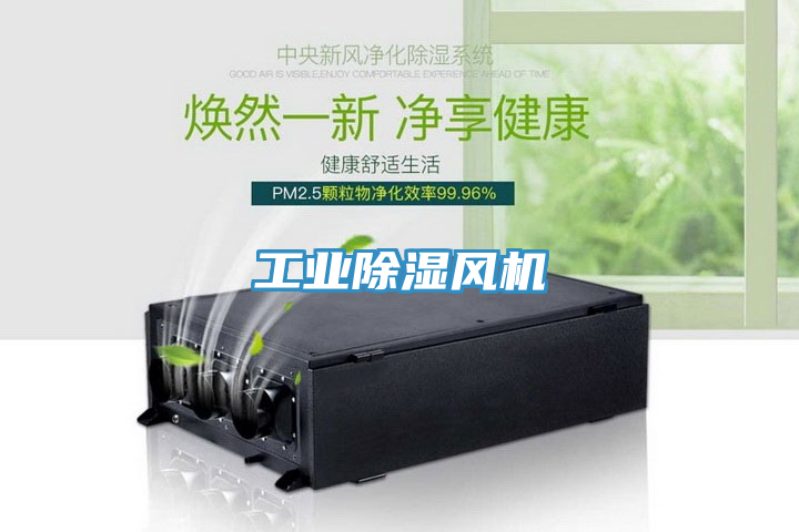 工業(yè)除濕風(fēng)機
