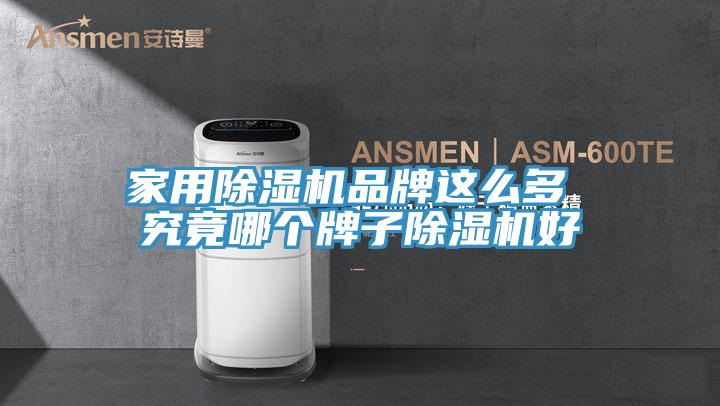 家用除濕機品牌這么多 究竟哪個(gè)牌子除濕機好