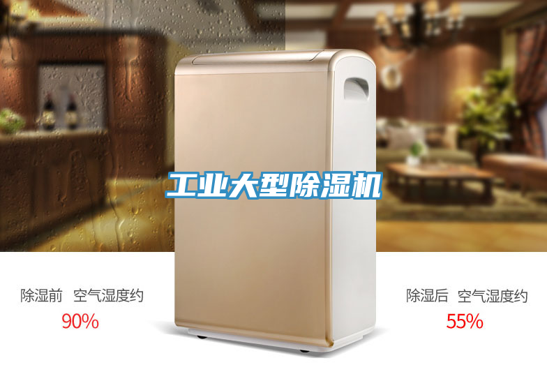 工業(yè)大型除濕機