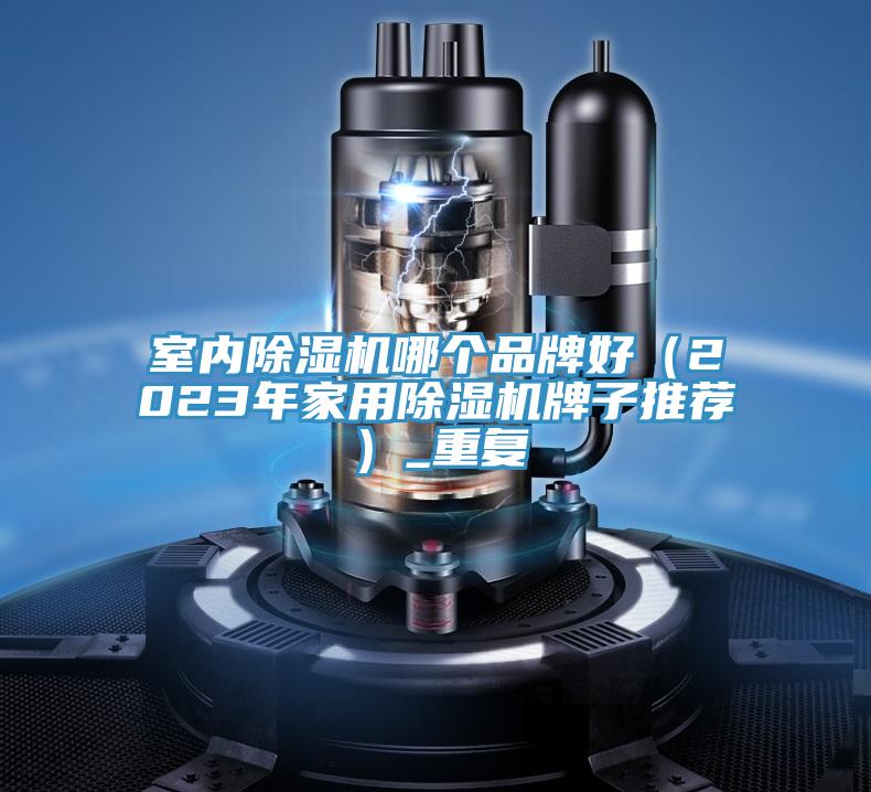 室內除濕機哪個(gè)品牌好（2023年家用除濕機牌子推薦）_重復