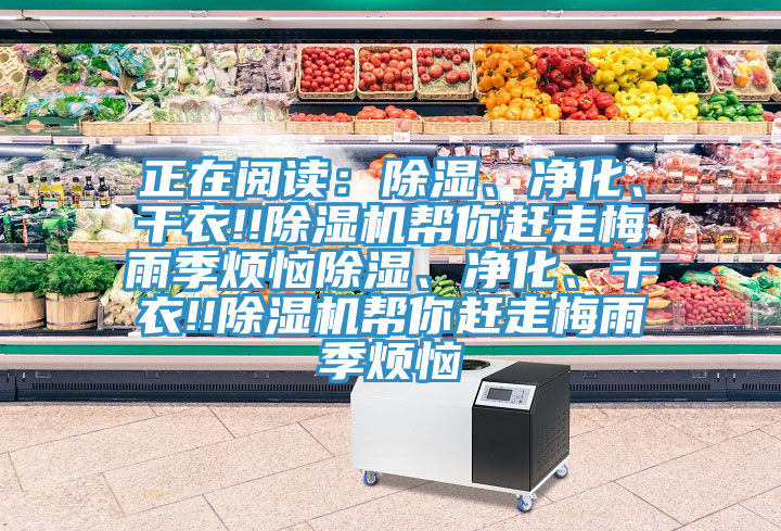 正在閱讀：除濕、凈化、干衣!!除濕機幫你趕走梅雨季煩惱除濕、凈化、干衣!!除濕機幫你趕走梅雨季煩惱