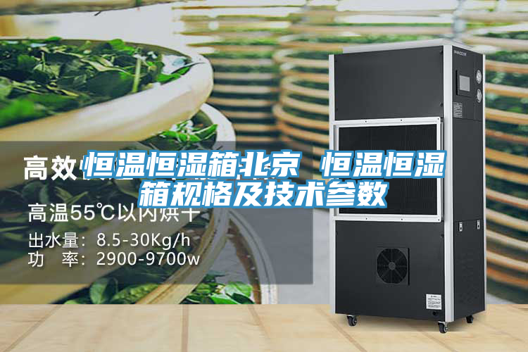 恒溫恒濕箱北京 恒溫恒濕箱規格及技術(shù)參數