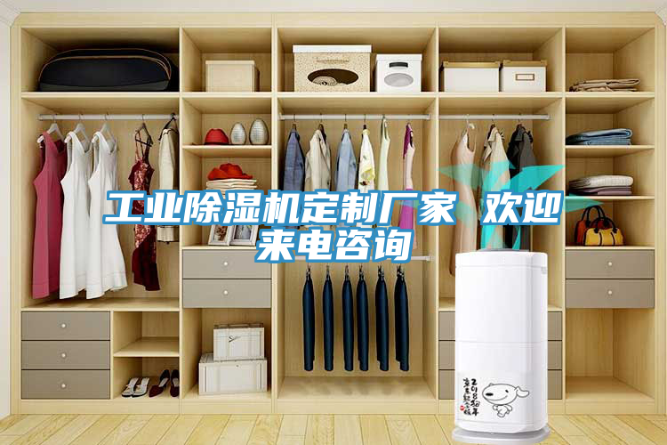 工業(yè)除濕機定制廠(chǎng)家 歡迎來(lái)電咨詢(xún)