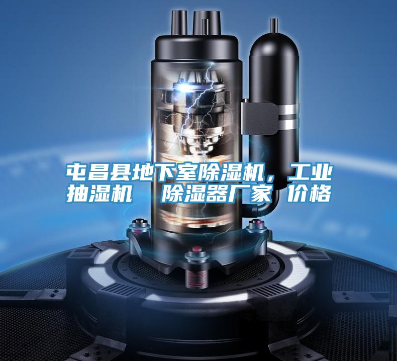 屯昌縣地下室除濕機，工業(yè)抽濕機  除濕器廠(chǎng)家 價(jià)格