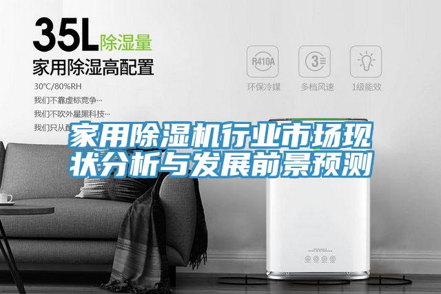 家用除濕機行業(yè)市場(chǎng)現狀分析與發(fā)展前景預測