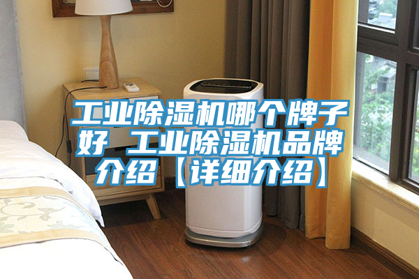 工業(yè)除濕機哪個(gè)牌子好 工業(yè)除濕機品牌介紹【詳細介紹】