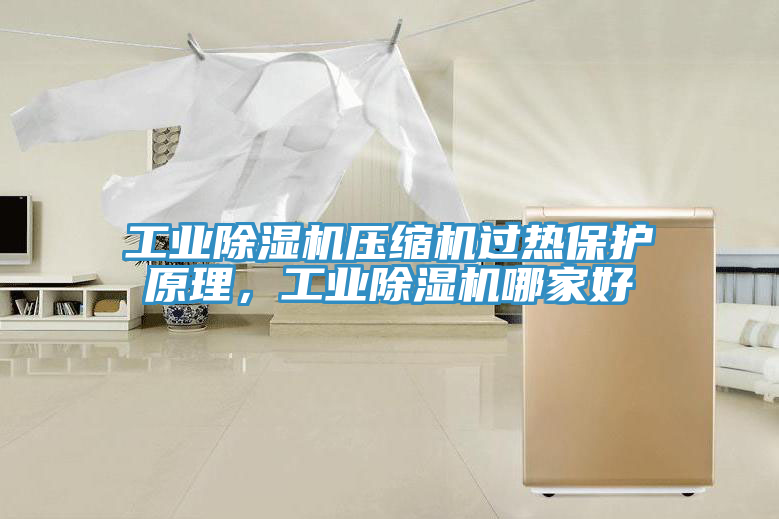 工業(yè)除濕機壓縮機過(guò)熱保護原理，工業(yè)除濕機哪家好